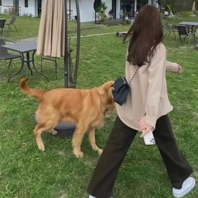 爱后爱