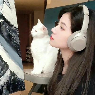 稗记舞咏